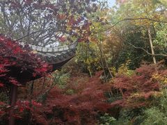 -杭州半山国家森林公园