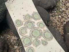 -中国美术学院象山校区-民艺博物馆