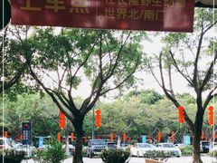 -广州长隆飞鸟乐园