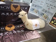 -重庆国际会议展览中心
