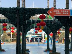 -海合安成都极地海洋公园