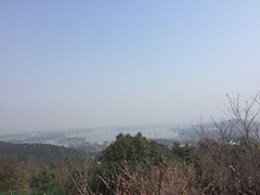 -香雪海