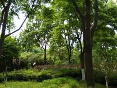 -后襄河公园