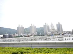 -星海广场