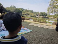 -东莞植物园