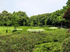 -昆山城市生态森林公园