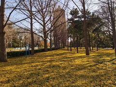 -玲珑塔公园