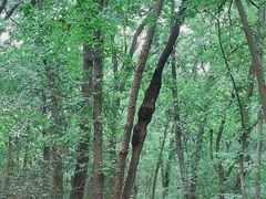-紫金山索道-售票处