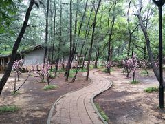-玫瑰海岸文化旅游度假区