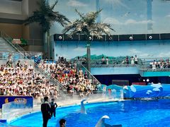 -海合安成都极地海洋公园