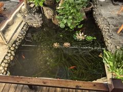 -三道苗苗鱼·美蛙黄辣丁(八里店)