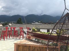 -喵屿·大理花园猫咖