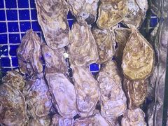 -青蓬蒸汽海鲜·深圳老字号·团建聚会(壹方城店)