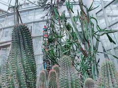 -郑州植物园