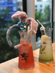 -悦诗风吟innisfree