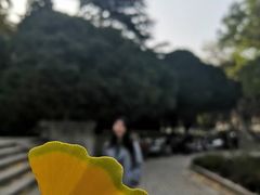 -山东大学(趵突泉校区)