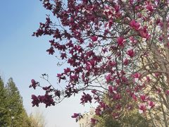 -北京天湖会议中心
