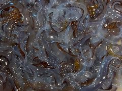 -鱼市酒店(威海水产批发市场店)