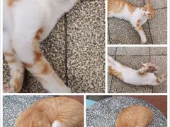 -盐帮食坊•小河帮川菜(四川师大店)