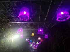 -武汉紫薇都市田园