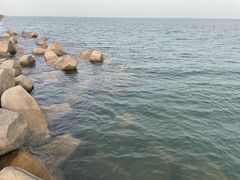 -东堤公园