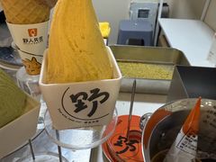 -野人先生现做冰淇淋(北京环宇荟店)
