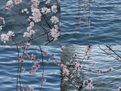 -颐和园