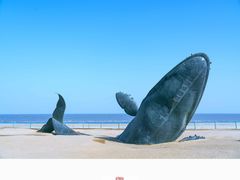 -烟台金沙滩海滨公园