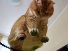 -扒虾小妹儿麻辣海鲜(宏图街店)