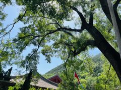 -华清宫景区