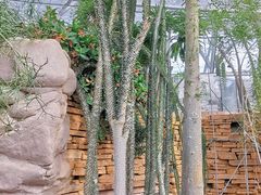 -北京植物园-展览温室