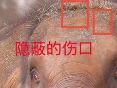 -贵州森林野生动物园