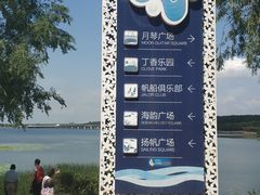 -丁香湖公园