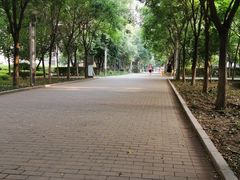 -长白岛森林公园