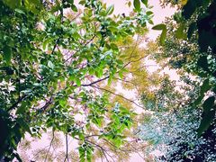 -龙头寺公园
