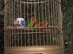 -鱼桥巷·美学川菜