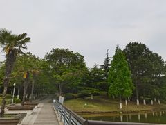 -白塘生态植物园