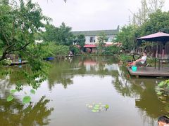 -洪湖家庭农场·团建·露营·会议
