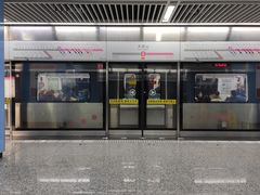 -大龙山(地铁站)