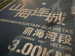 -宝安西湾红树林湿地公园