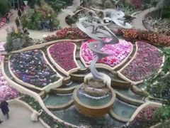 -南山植物园