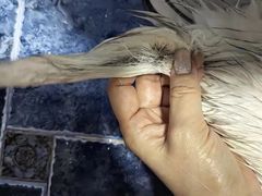 -乐宠宠物店(世纪金源店)