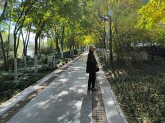 -南翠屏公园