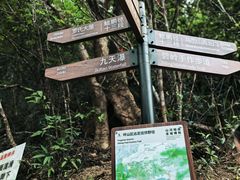 -马峦山郊野公园
