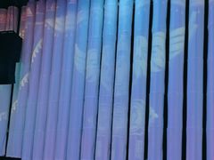 -斯卡拉演艺集团