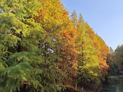 -八大山人梅湖景区