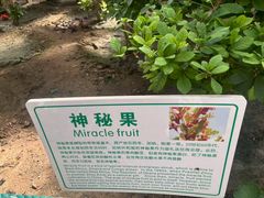 -长春农业博览园
