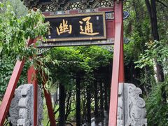 -晋祠公园