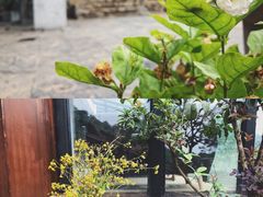 -远山有窑
