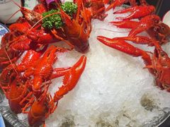 -京悦南门涮羊肉·羊蝎子火锅(田林路店)